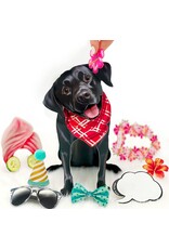 FreshCut Paper Pop Up Pet Cards | Black Lab Pop-Up Card