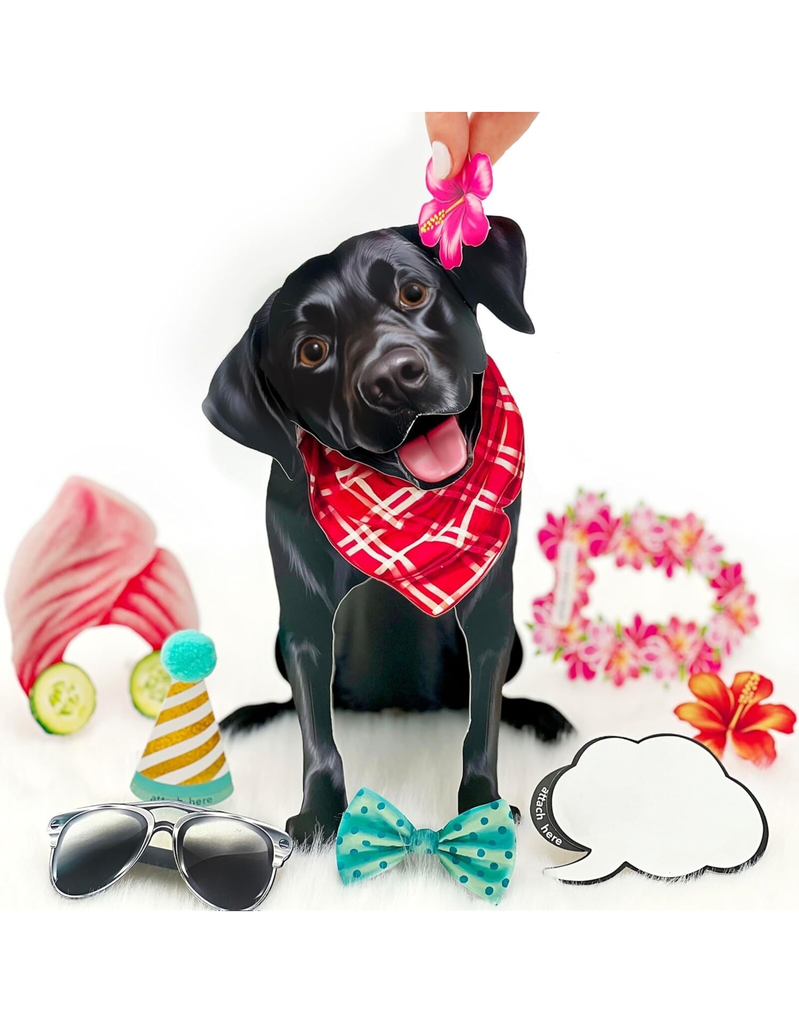 FreshCut Paper Pop Up Pet Cards | Black Lab Pop-Up Card
