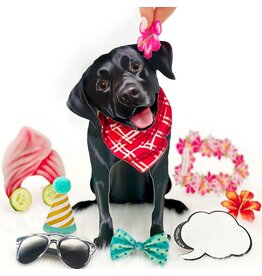 FreshCut Paper Pop Up Pet Cards | Black Lab Pop-Up Card