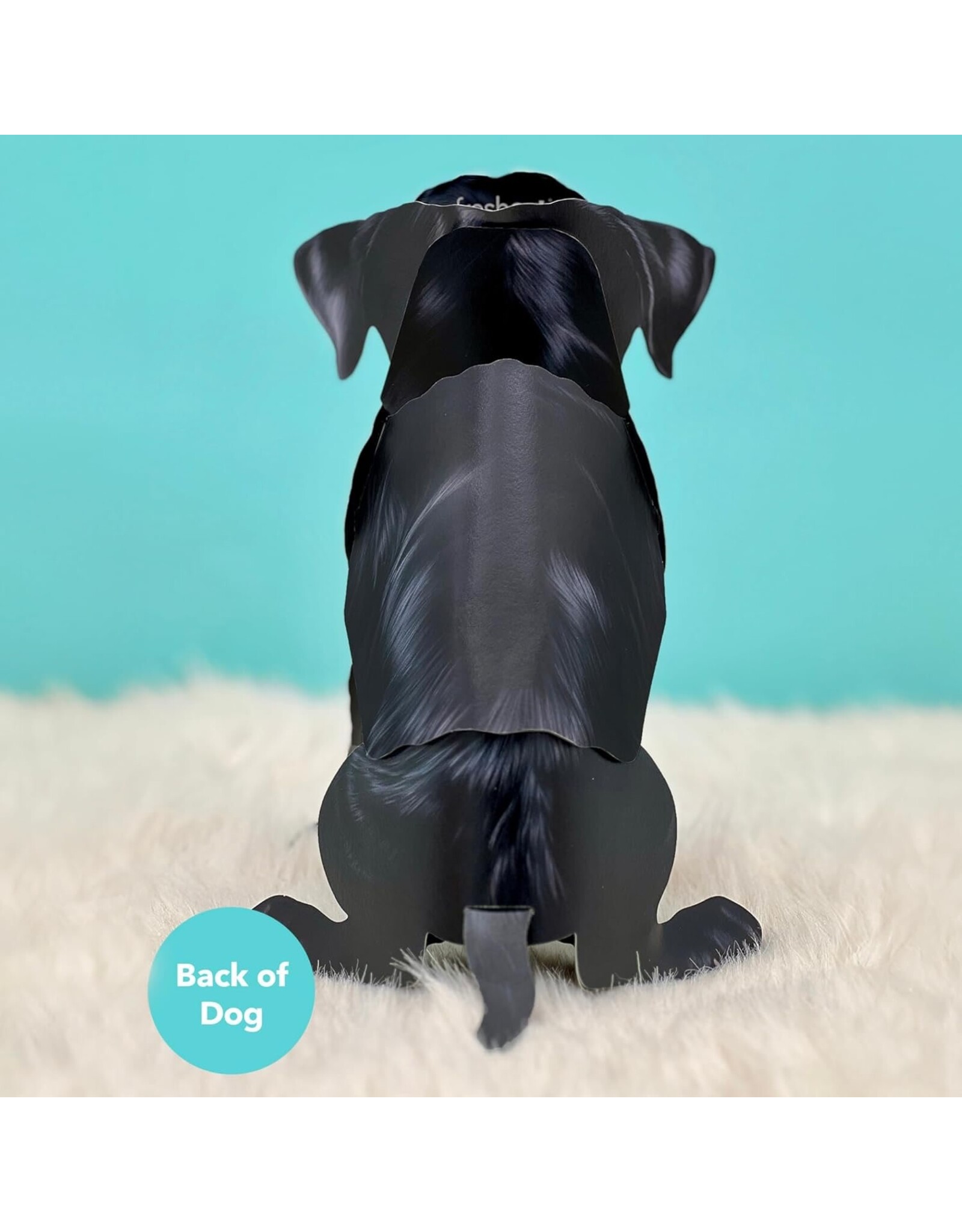 FreshCut Paper Pop Up Pet Cards | Black Lab Pop-Up Card