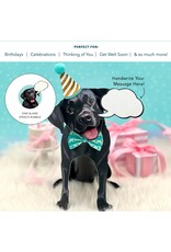 FreshCut Paper Pop Up Pet Cards | Black Lab Pop-Up Card