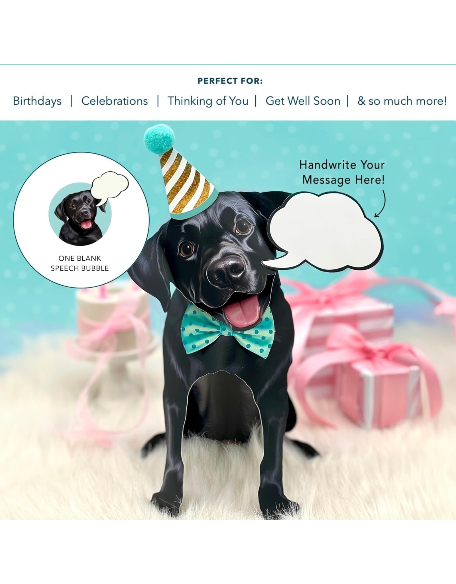 FreshCut Paper Pop Up Pet Cards | Black Lab Pop-Up Card