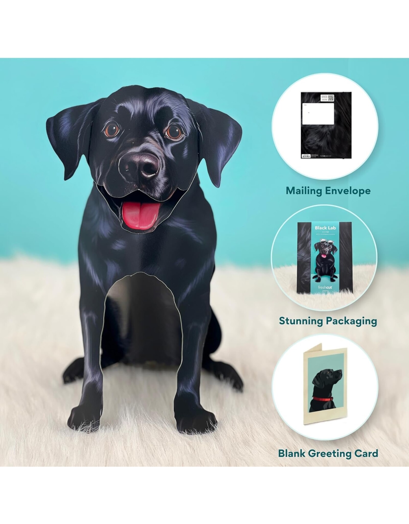 FreshCut Paper Pop Up Pet Cards | Black Lab Pop-Up Card