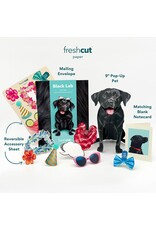 FreshCut Paper Pop Up Pet Cards | Black Lab Pop-Up Card