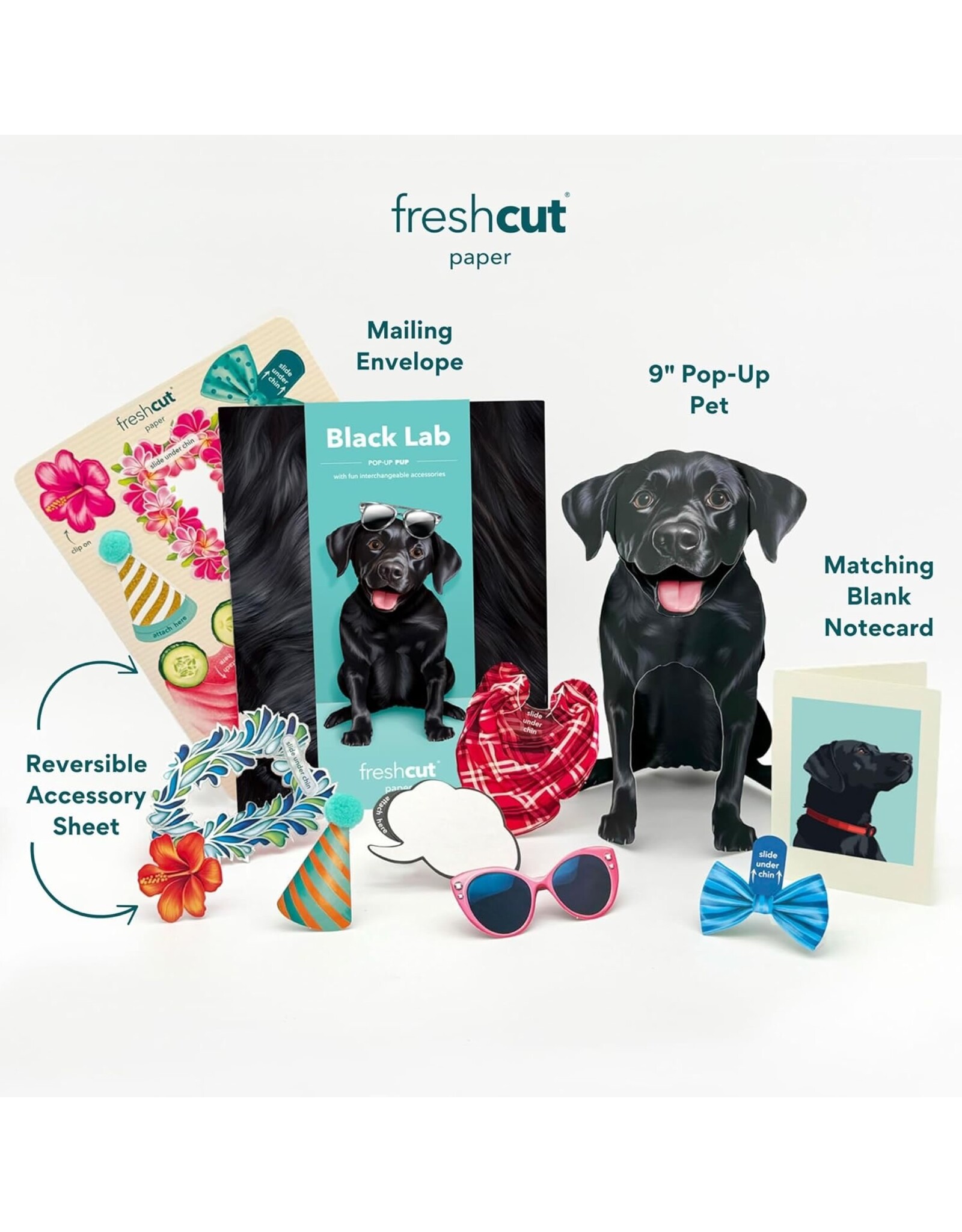 FreshCut Paper Pop Up Pet Cards | Black Lab Pop-Up Card