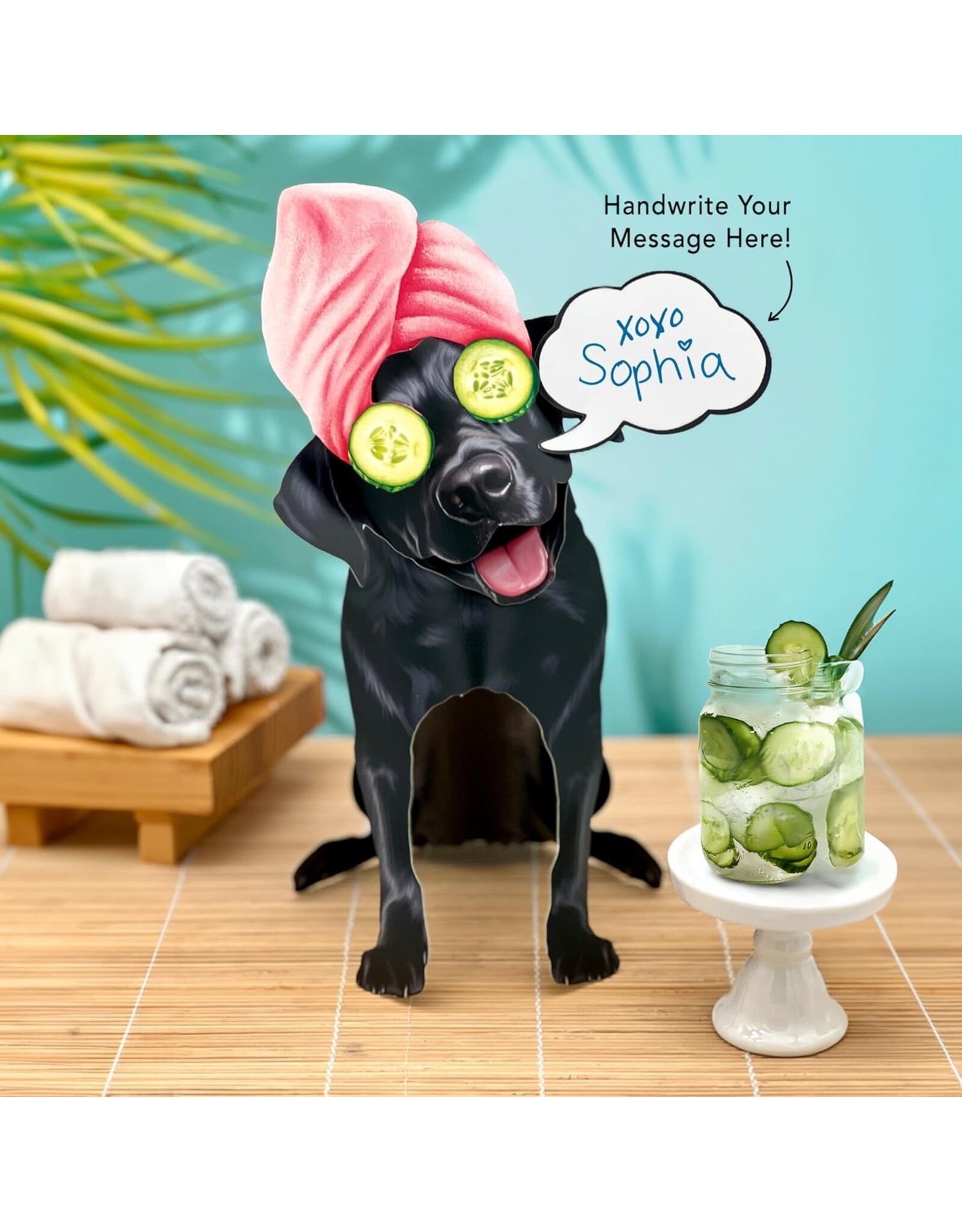 FreshCut Paper Pop Up Pet Cards | Black Lab Pop-Up Card