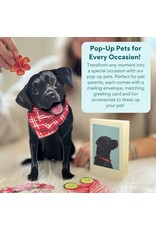 FreshCut Paper Pop Up Pet Cards | Black Lab Pop-Up Card