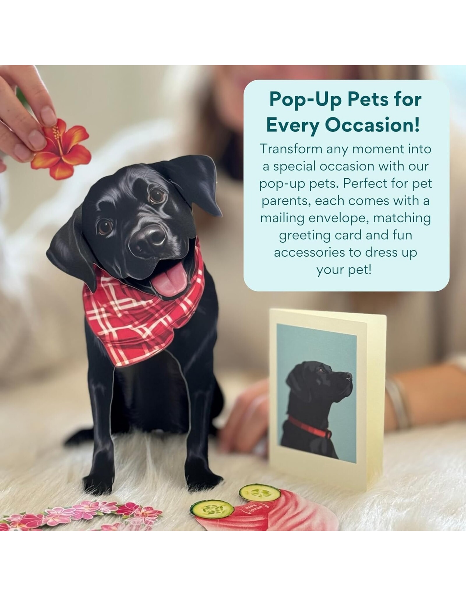 FreshCut Paper Pop Up Pet Cards | Black Lab Pop-Up Card