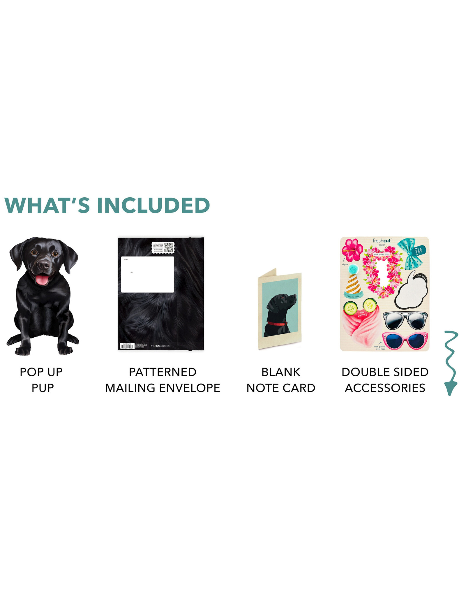 FreshCut Paper Pop Up Pet Cards | Black Lab Pop-Up Card