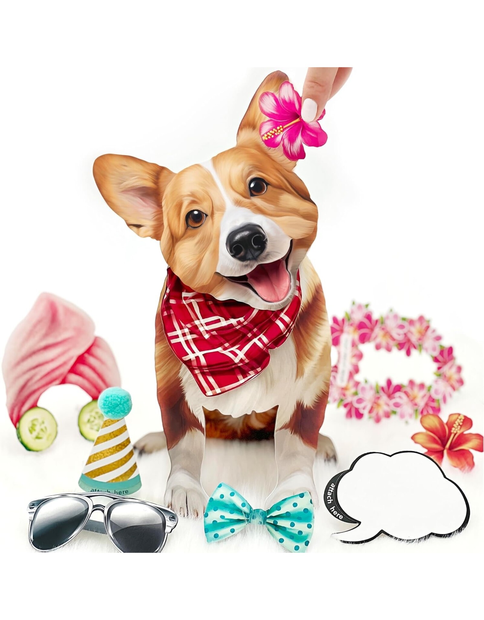 FreshCut Paper Pop Up Pet Cards | Corgi Pop-Up Card