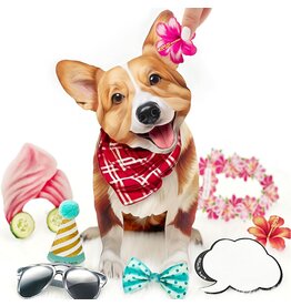 FreshCut Paper Pop Up Pet Cards | Corgi Pop-Up Card