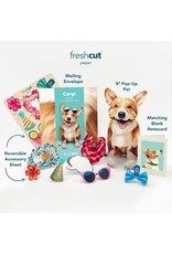 FreshCut Paper Pop Up Pet Cards | Corgi Pop-Up Card
