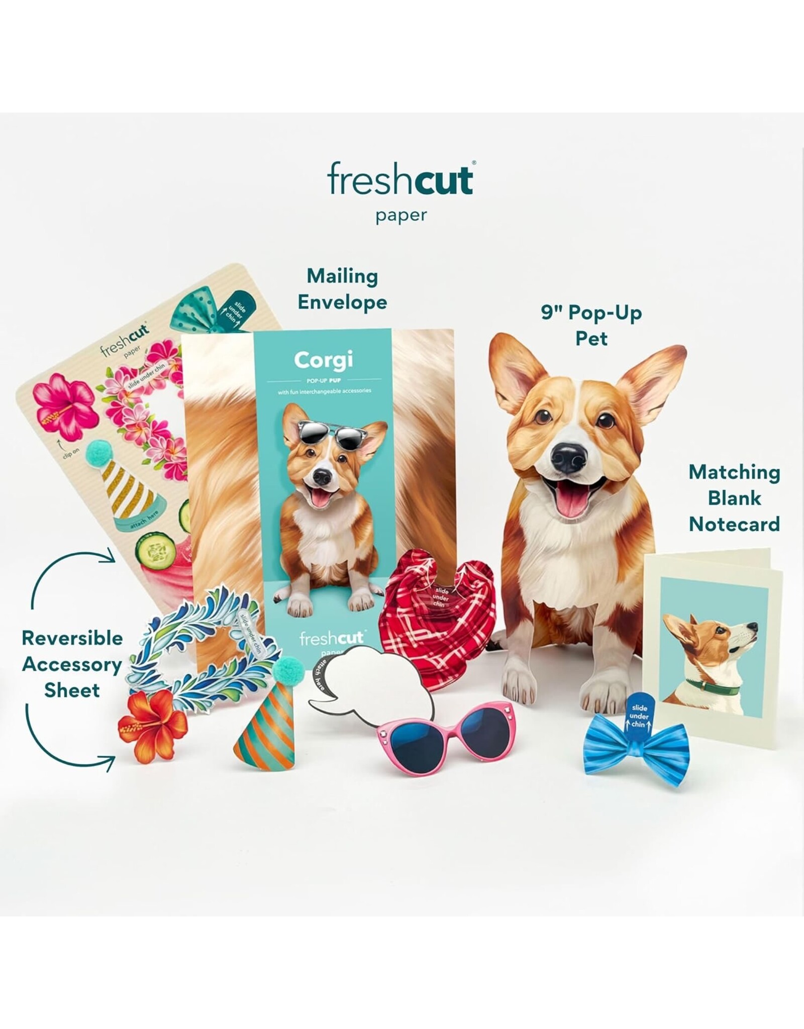 FreshCut Paper Pop Up Pet Cards | Corgi Pop-Up Card