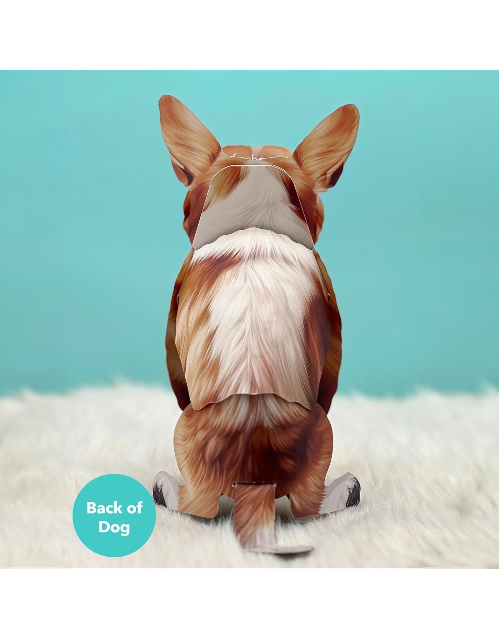 FreshCut Paper Pop Up Pet Cards | Corgi Pop-Up Card