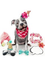 FreshCut Paper Pop Up Pet Cards | Gray Pit Bull Pop-Up Card