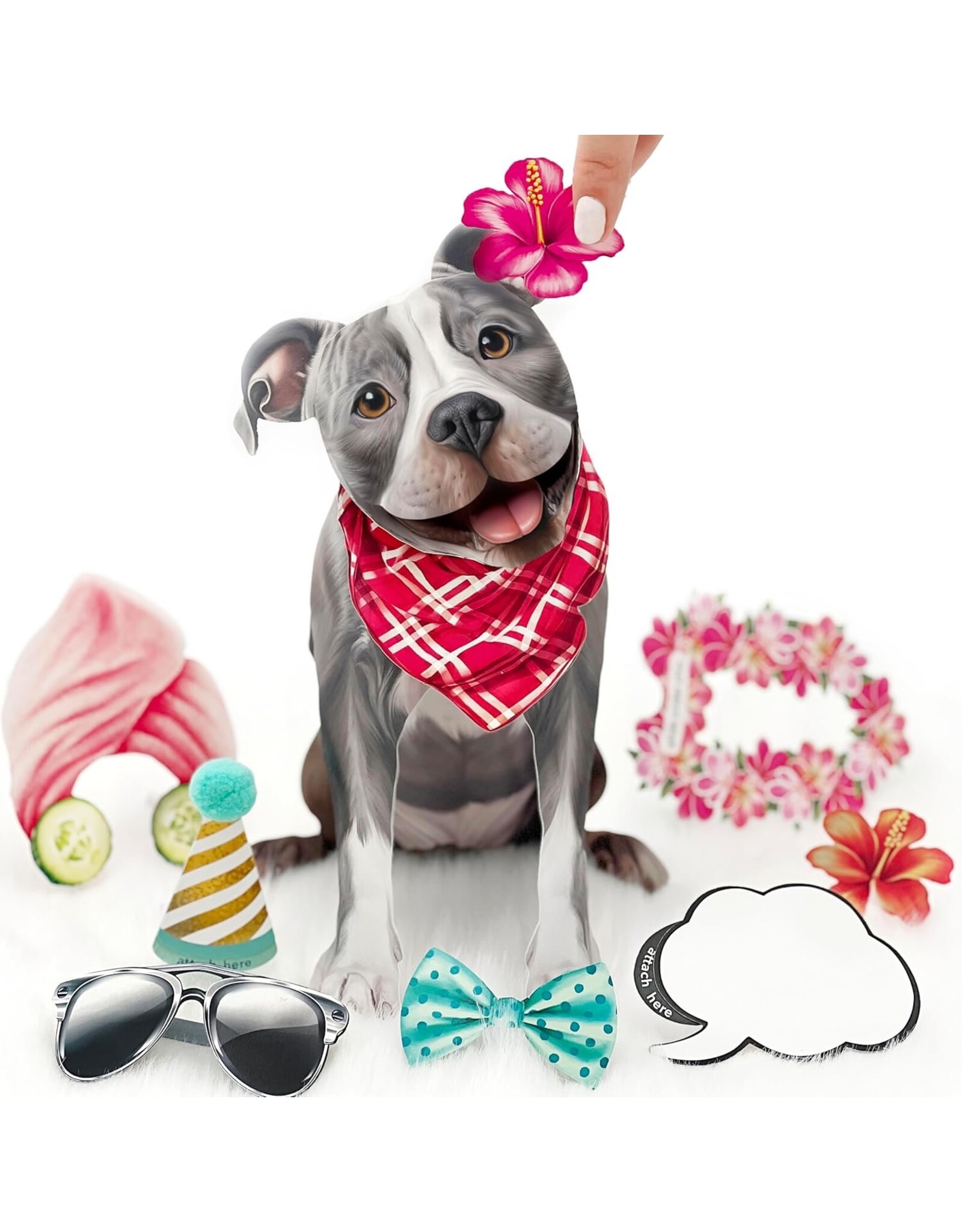 FreshCut Paper Pop Up Pet Cards | Gray Pit Bull Pop-Up Card