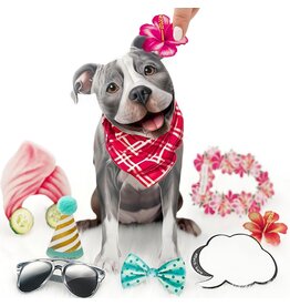 FreshCut Paper Pop Up Pet Cards | Gray Pit Bull Pop-Up Card