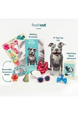 FreshCut Paper Pop Up Pet Cards | Gray Pit Bull Pop-Up Card