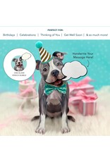 FreshCut Paper Pop Up Pet Cards | Gray Pit Bull Pop-Up Card