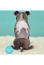 FreshCut Paper Pop Up Pet Cards | Gray Pit Bull Pop-Up Card