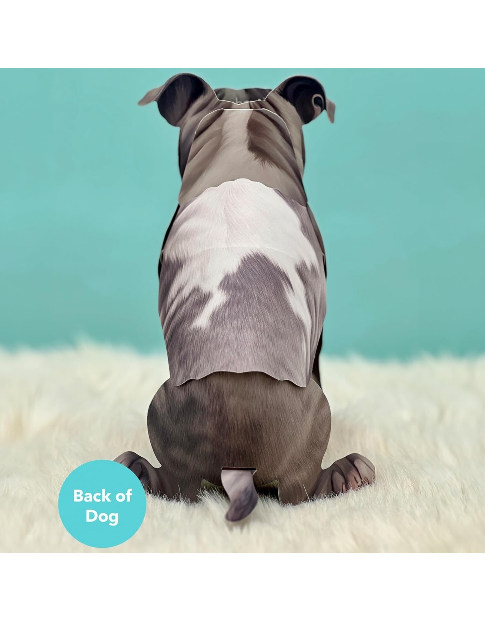 FreshCut Paper Pop Up Pet Cards | Gray Pit Bull Pop-Up Card