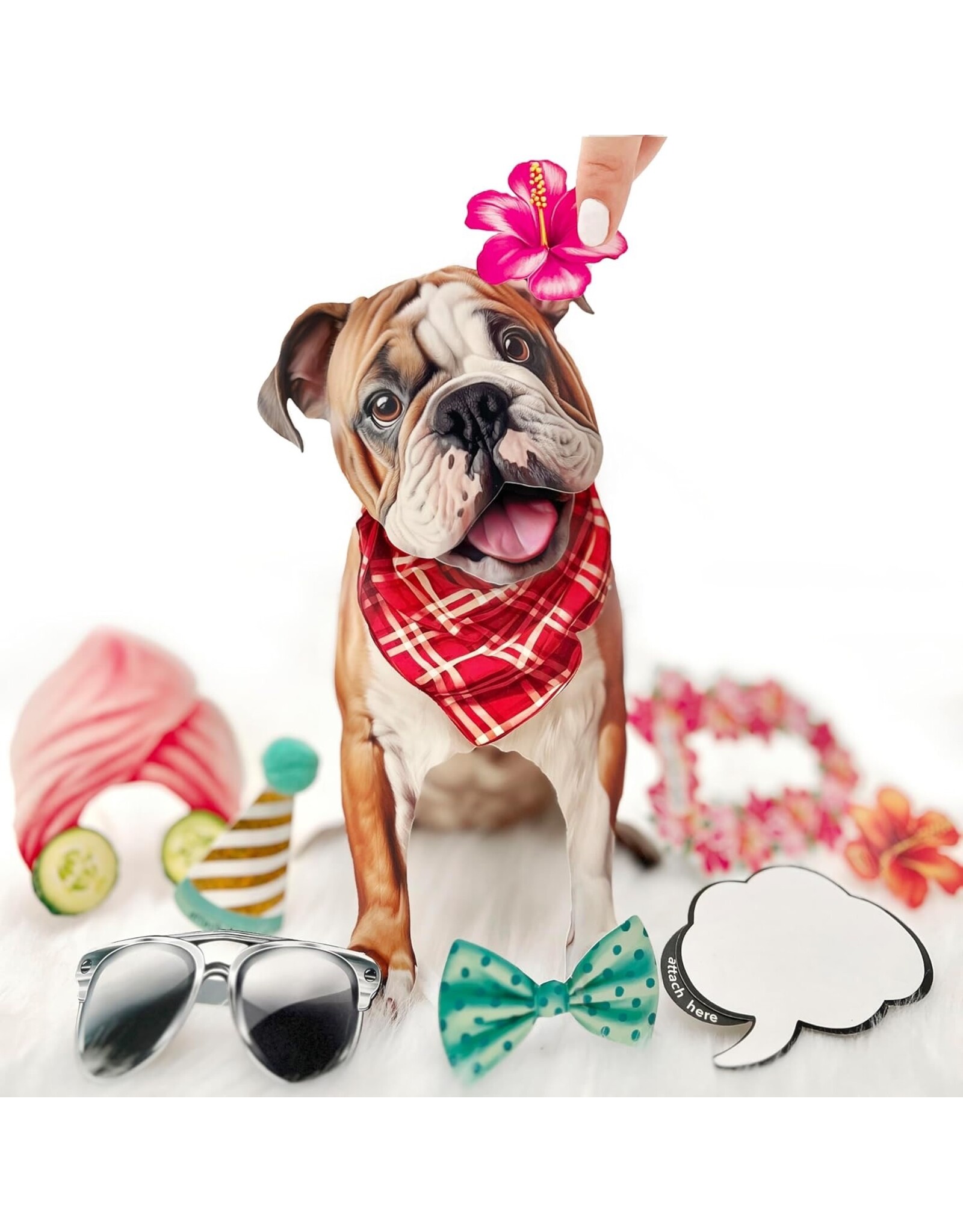 FreshCut Paper Pop Up Pet Cards | English Bulldog Pop-Up Card