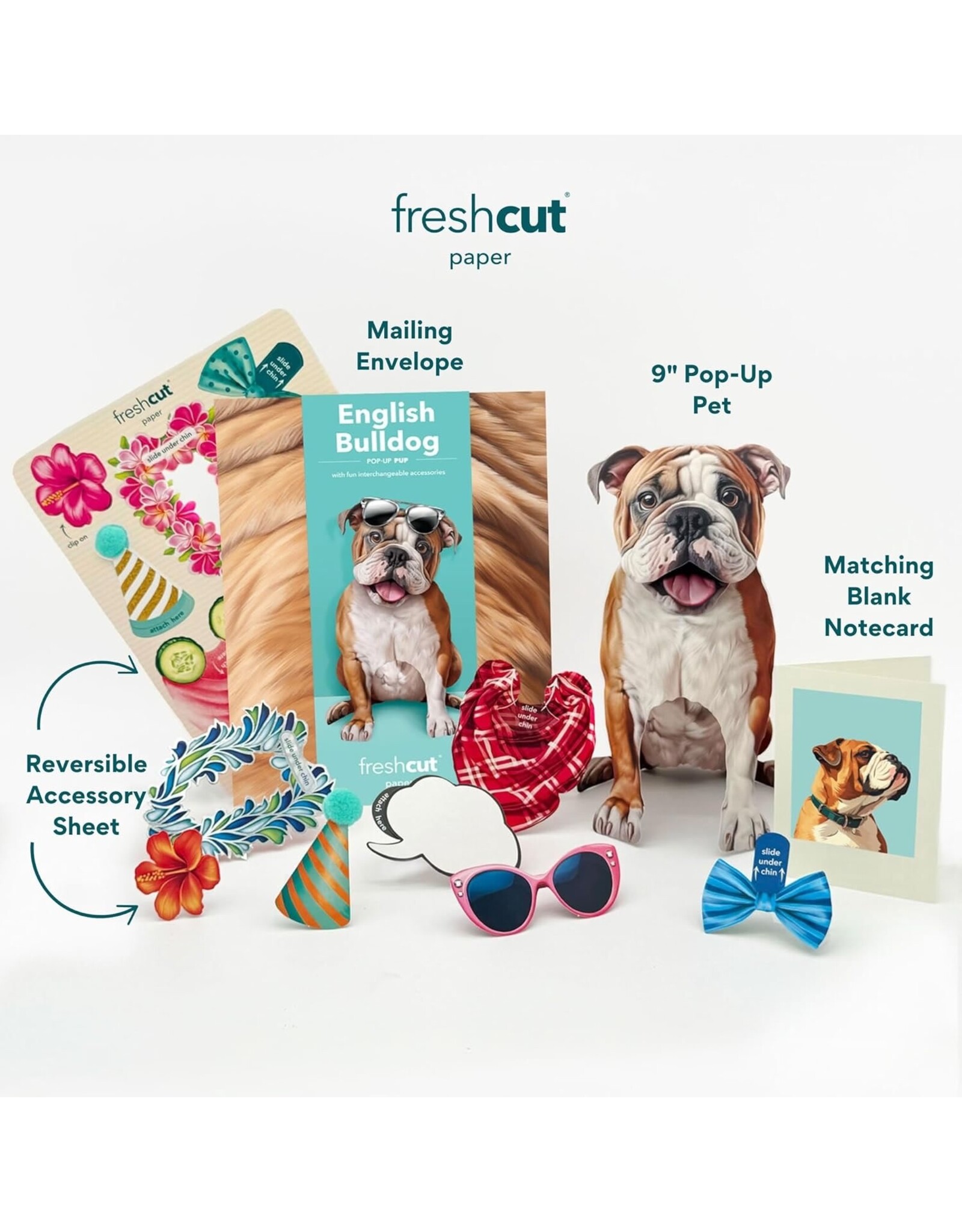 FreshCut Paper Pop Up Pet Cards | English Bulldog Pop-Up Card