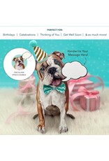 FreshCut Paper Pop Up Pet Cards | English Bulldog Pop-Up Card