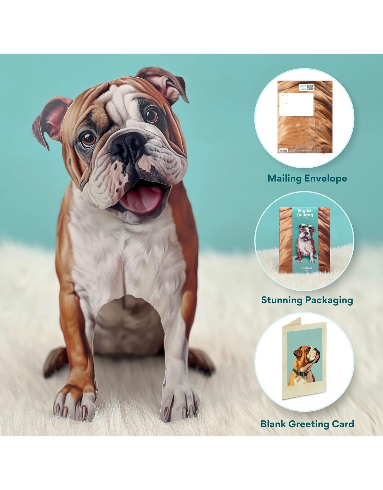 FreshCut Paper Pop Up Pet Cards | English Bulldog Pop-Up Card