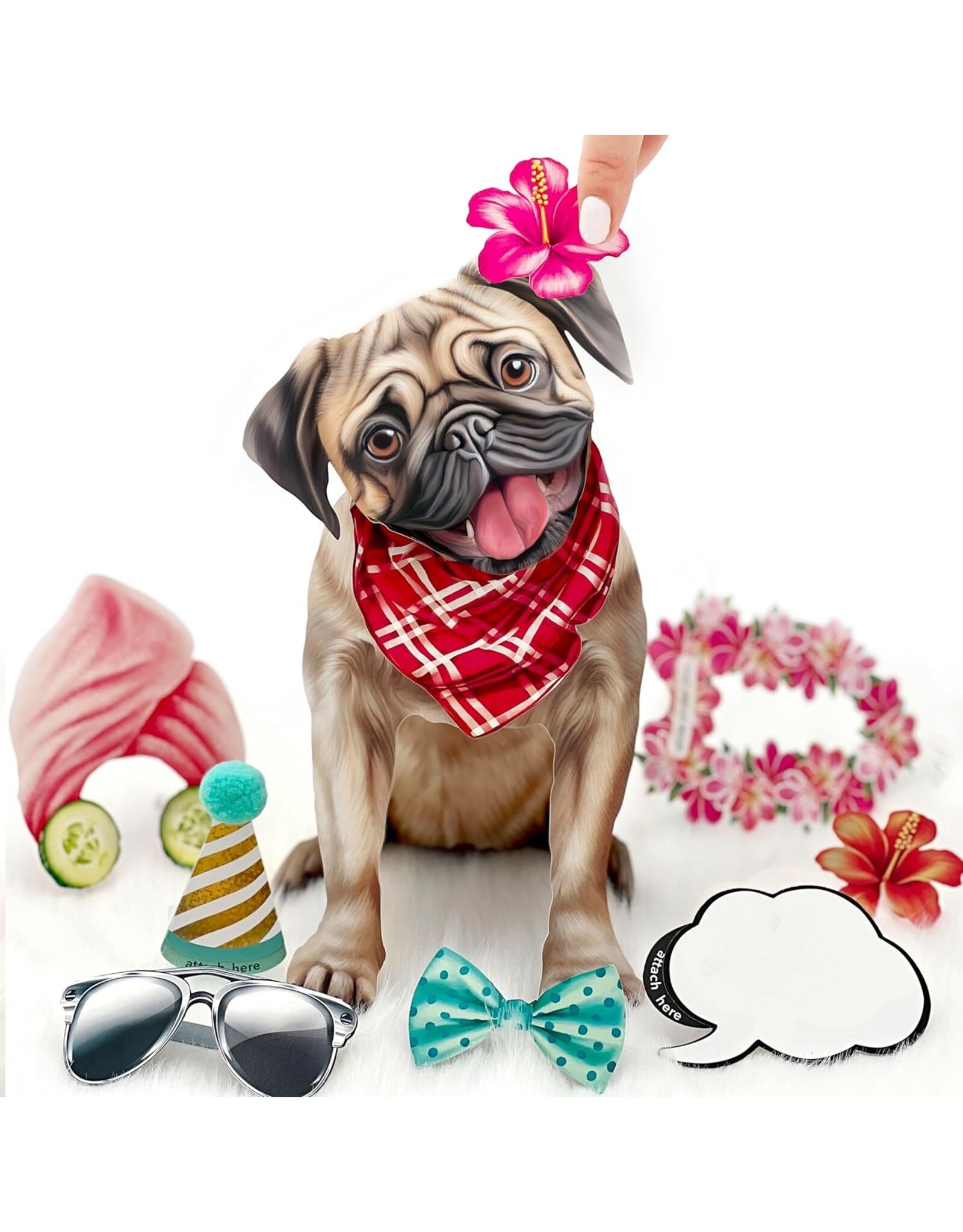 FreshCut Paper Pop Up Pet Cards | Pug Pop-Up Card