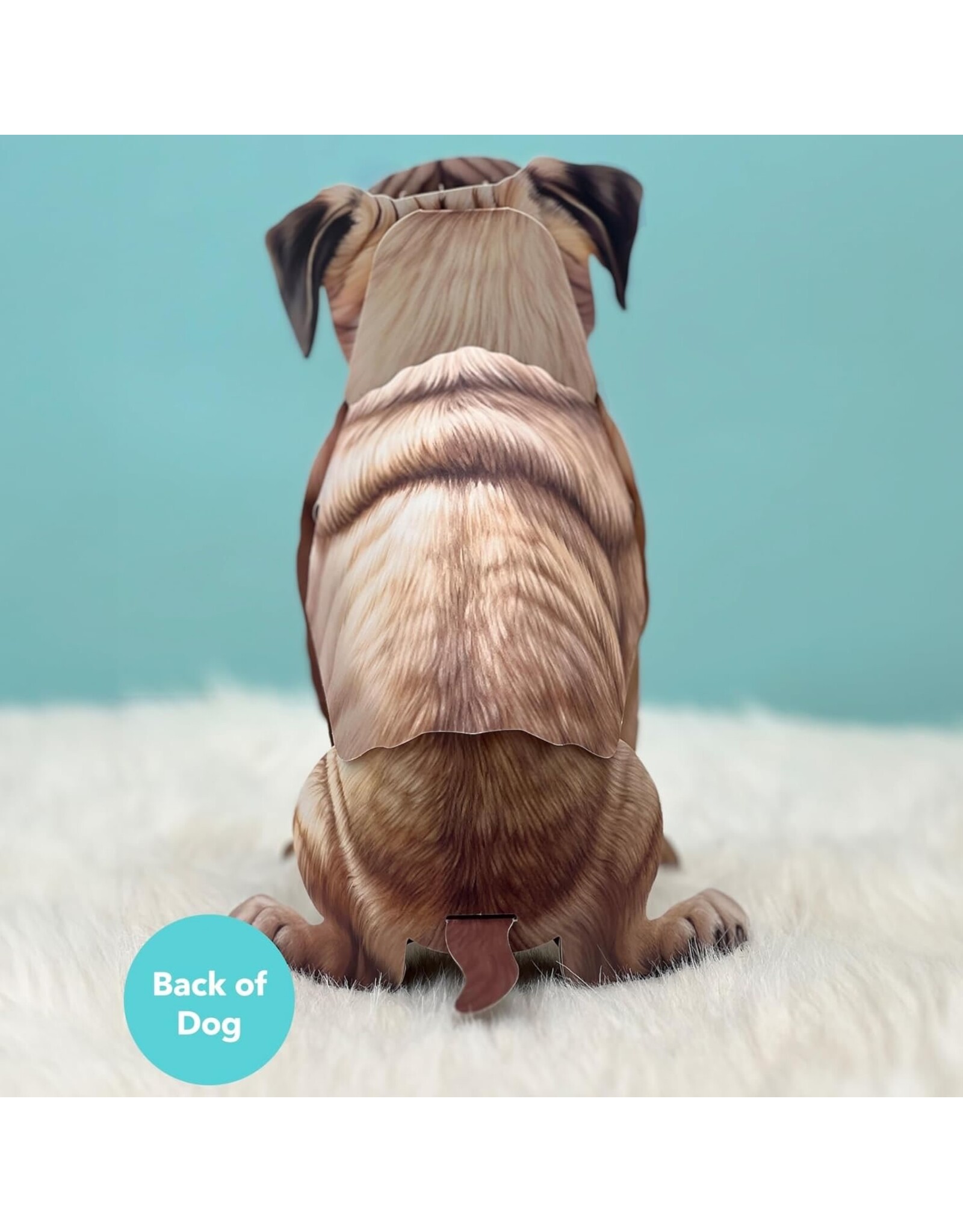 FreshCut Paper Pop Up Pet Cards | Pug Pop-Up Card