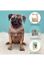 FreshCut Paper Pop Up Pet Cards | Pug Pop-Up Card
