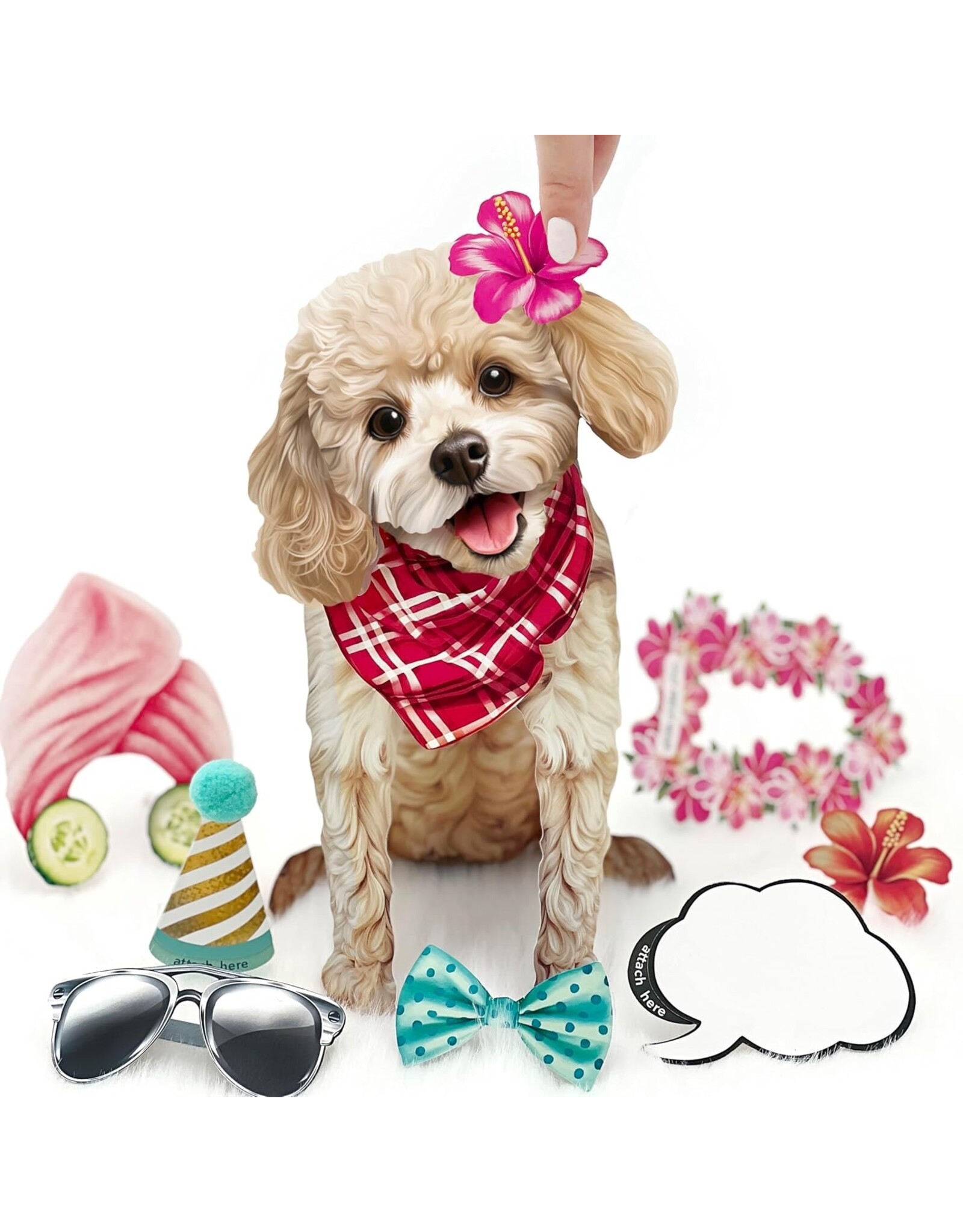 FreshCut Paper Pop Up Pet Cards | Poodle Pop-Up Card