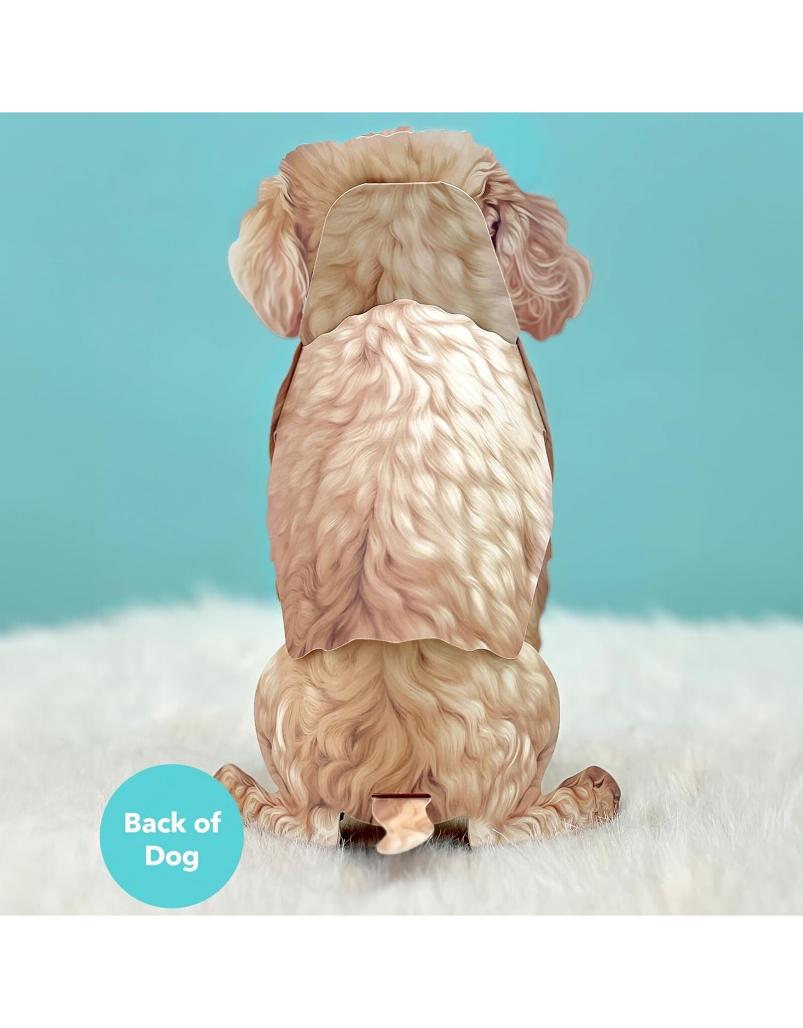 FreshCut Paper Pop Up Pet Cards | Poodle Pop-Up Card