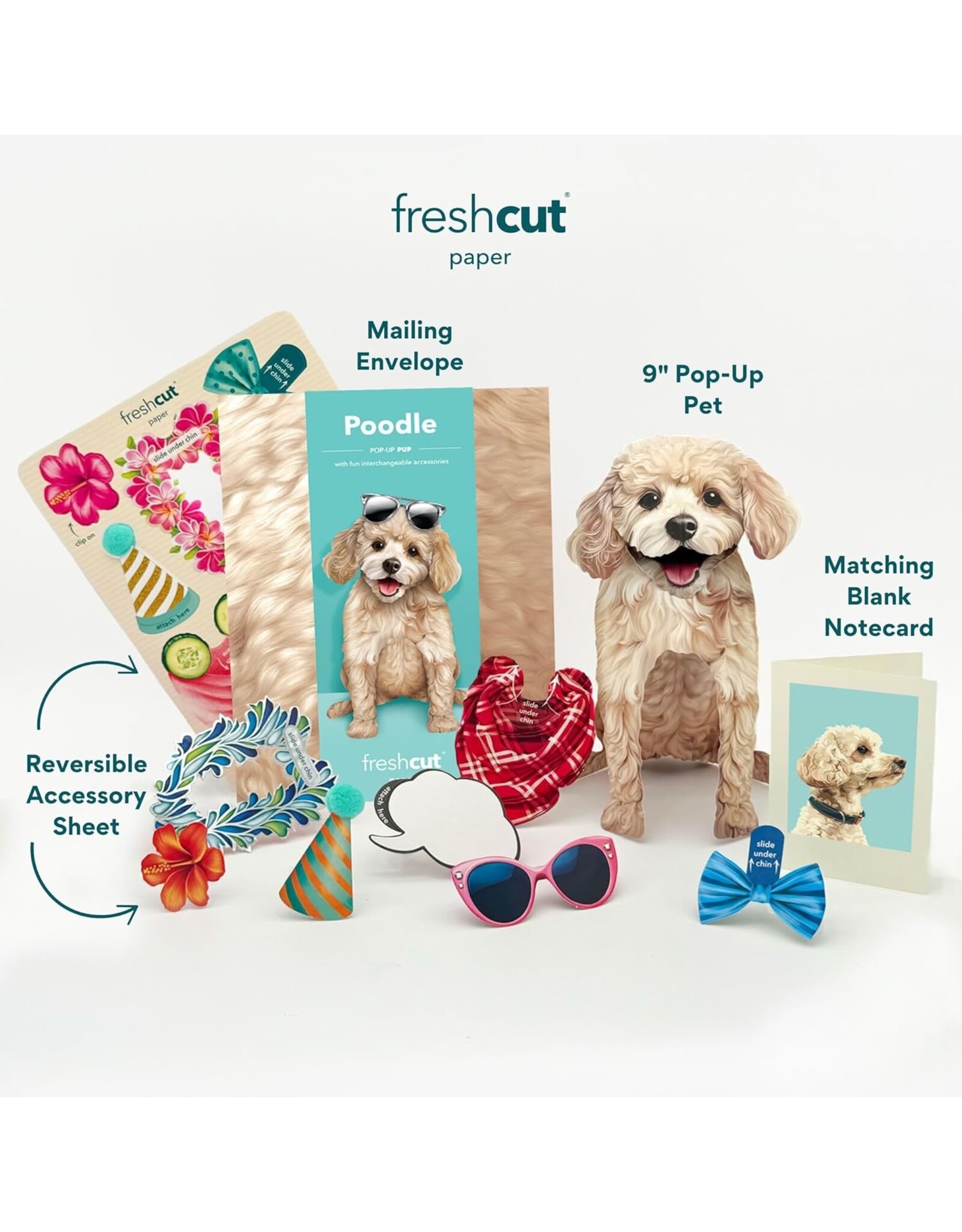 FreshCut Paper Pop Up Pet Cards | Poodle Pop-Up Card