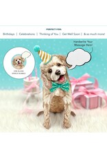 FreshCut Paper Pop Up Pet Cards | Poodle Pop-Up Card