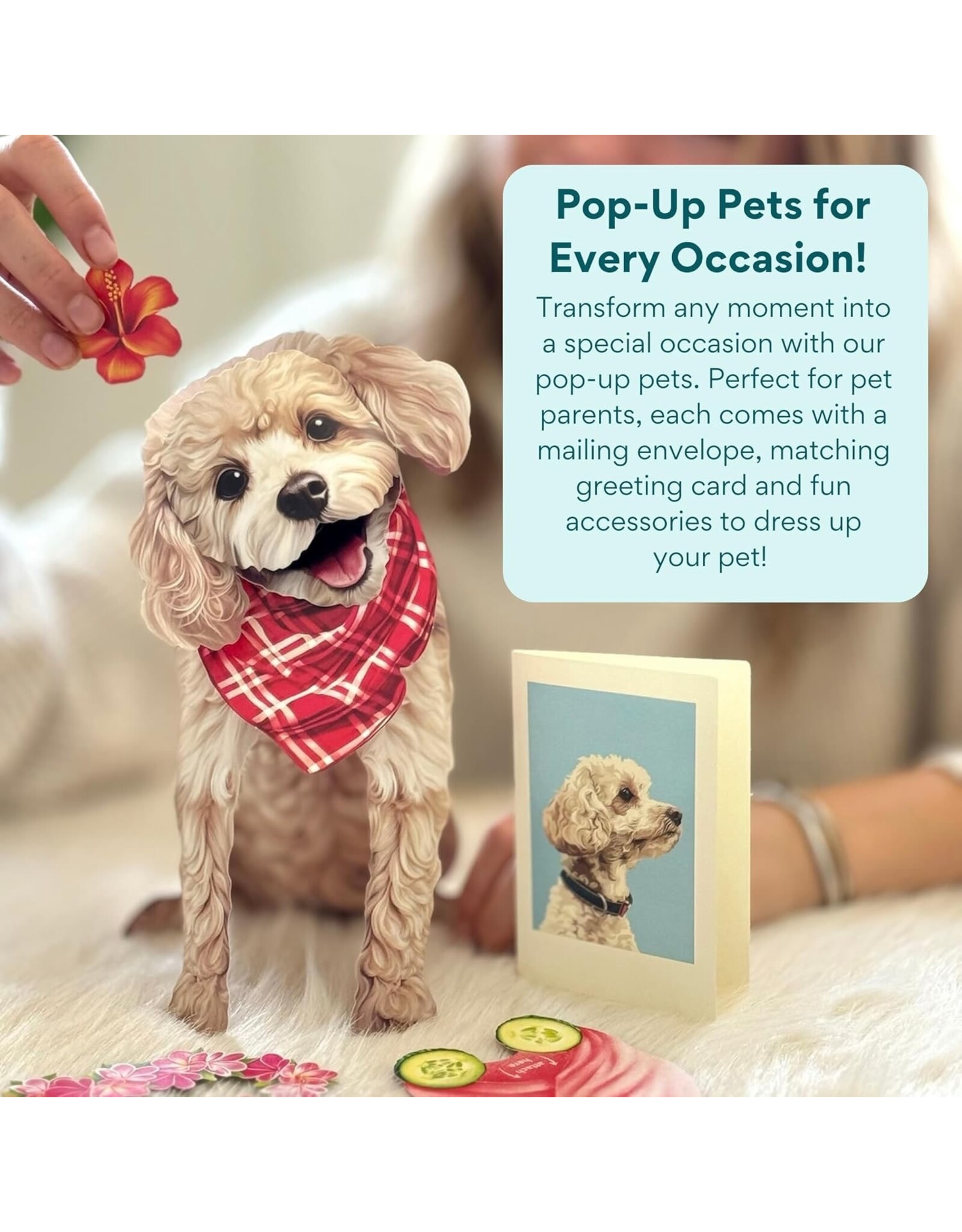 FreshCut Paper Pop Up Pet Cards | Poodle Pop-Up Card