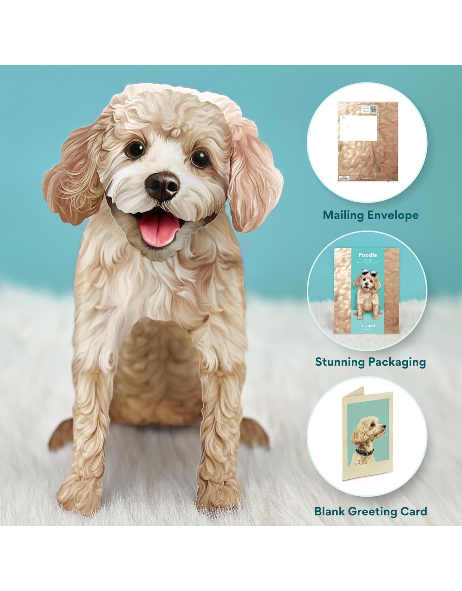FreshCut Paper Pop Up Pet Cards | Poodle Pop-Up Card