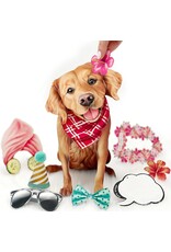 FreshCut Paper Pop Up Pet Cards | Golden Retriever Pop-Up Card