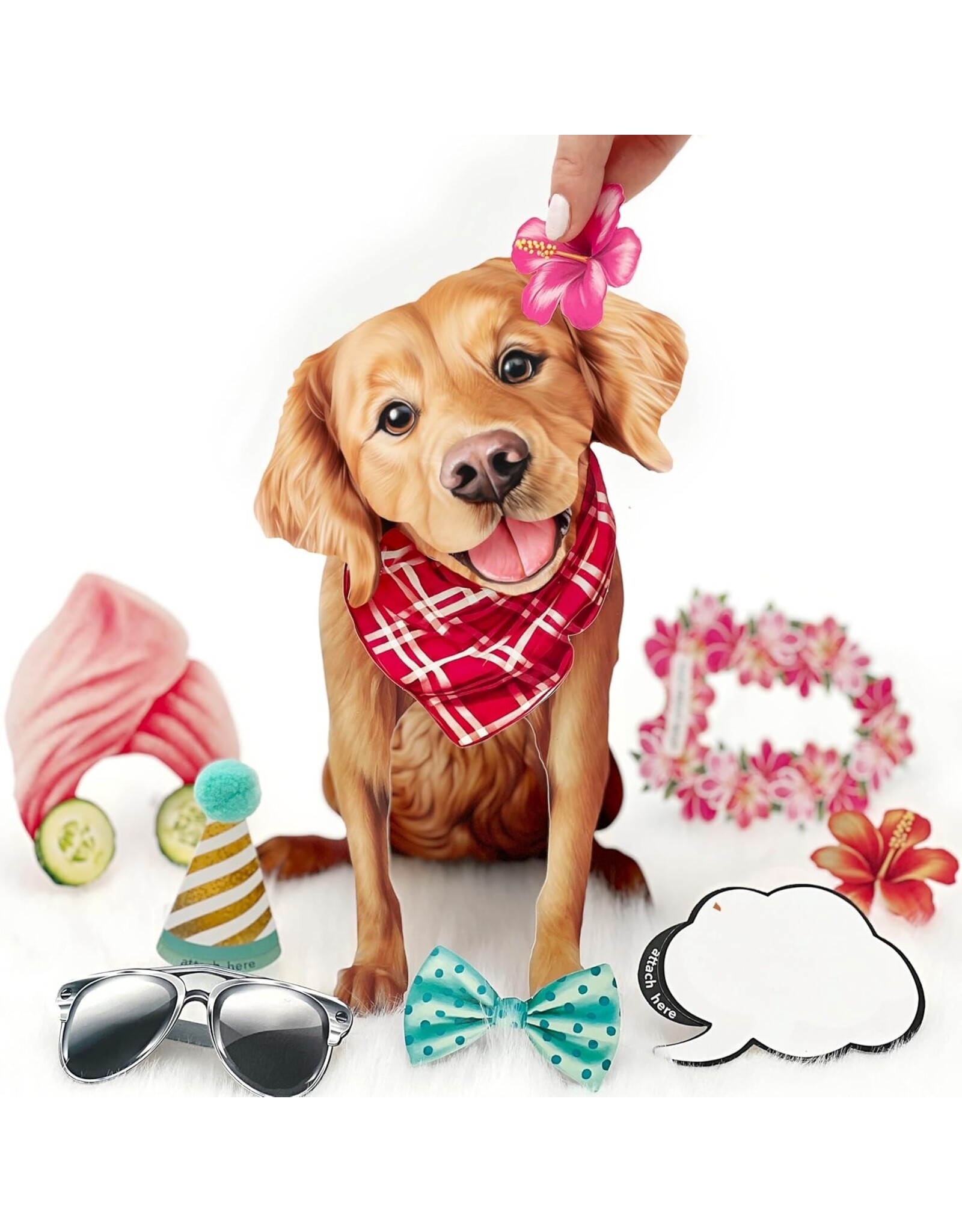 FreshCut Paper Pop Up Pet Cards | Golden Retriever Pop-Up Card