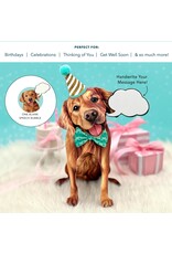 FreshCut Paper Pop Up Pet Cards | Golden Retriever Pop-Up Card