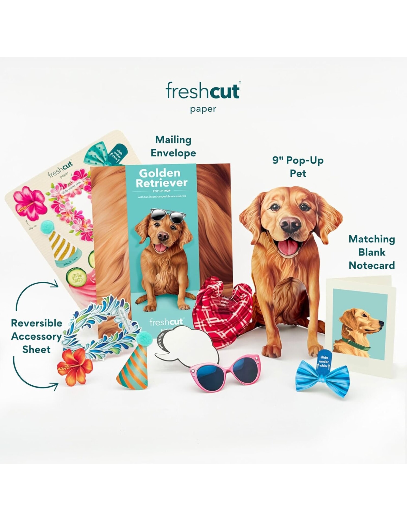 FreshCut Paper Pop Up Pet Cards | Golden Retriever Pop-Up Card