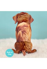 FreshCut Paper Pop Up Pet Cards | Golden Retriever Pop-Up Card
