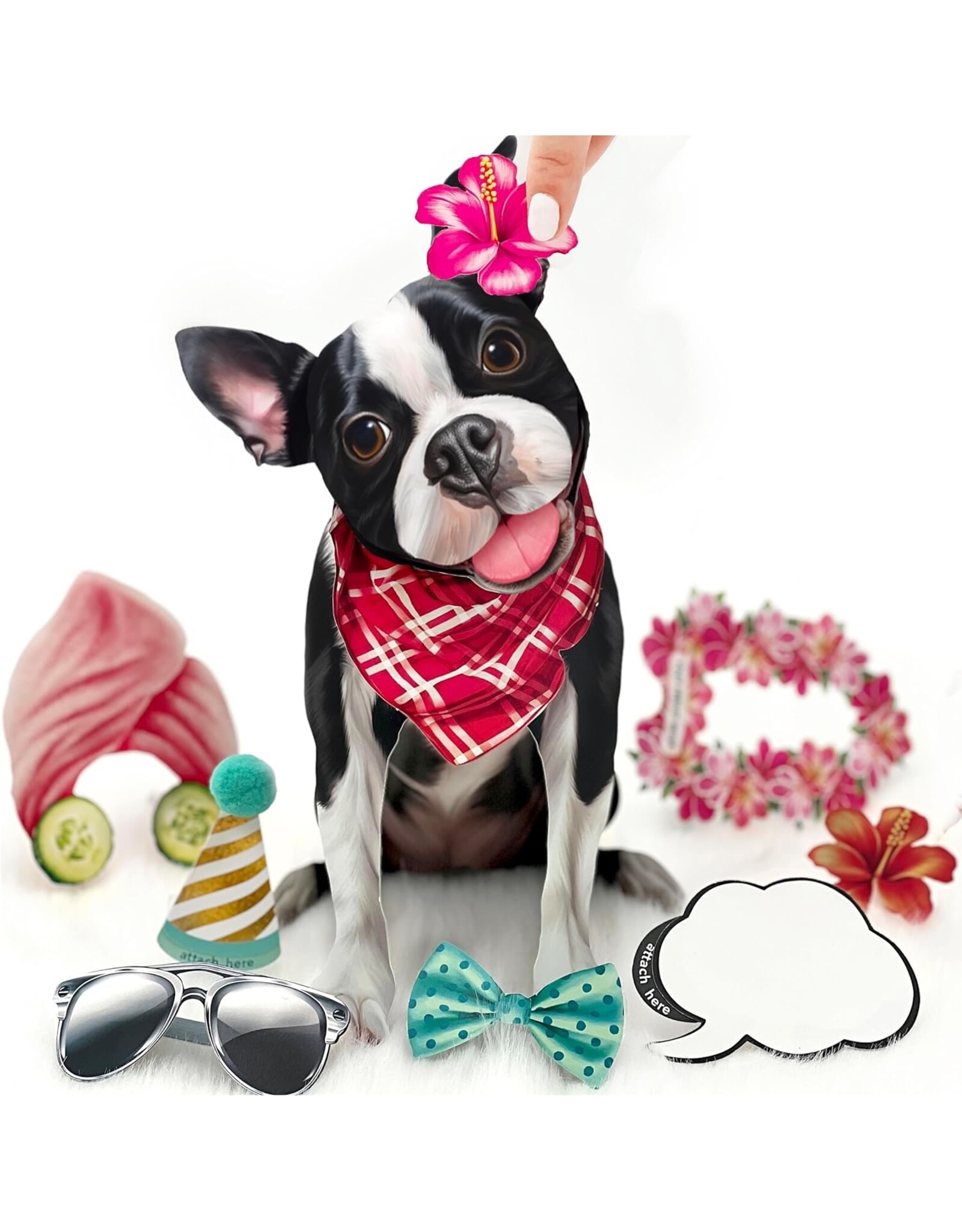 FreshCut Paper Pop Up Pet Cards | Boston Terrier Retriever Pop-Up Card