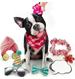 FreshCut Paper Pop Up Pet Cards | Boston Terrier Retriever Pop-Up Card