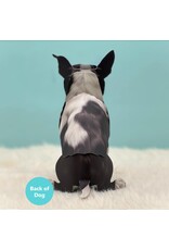 FreshCut Paper Pop Up Pet Cards | Boston Terrier Retriever Pop-Up Card