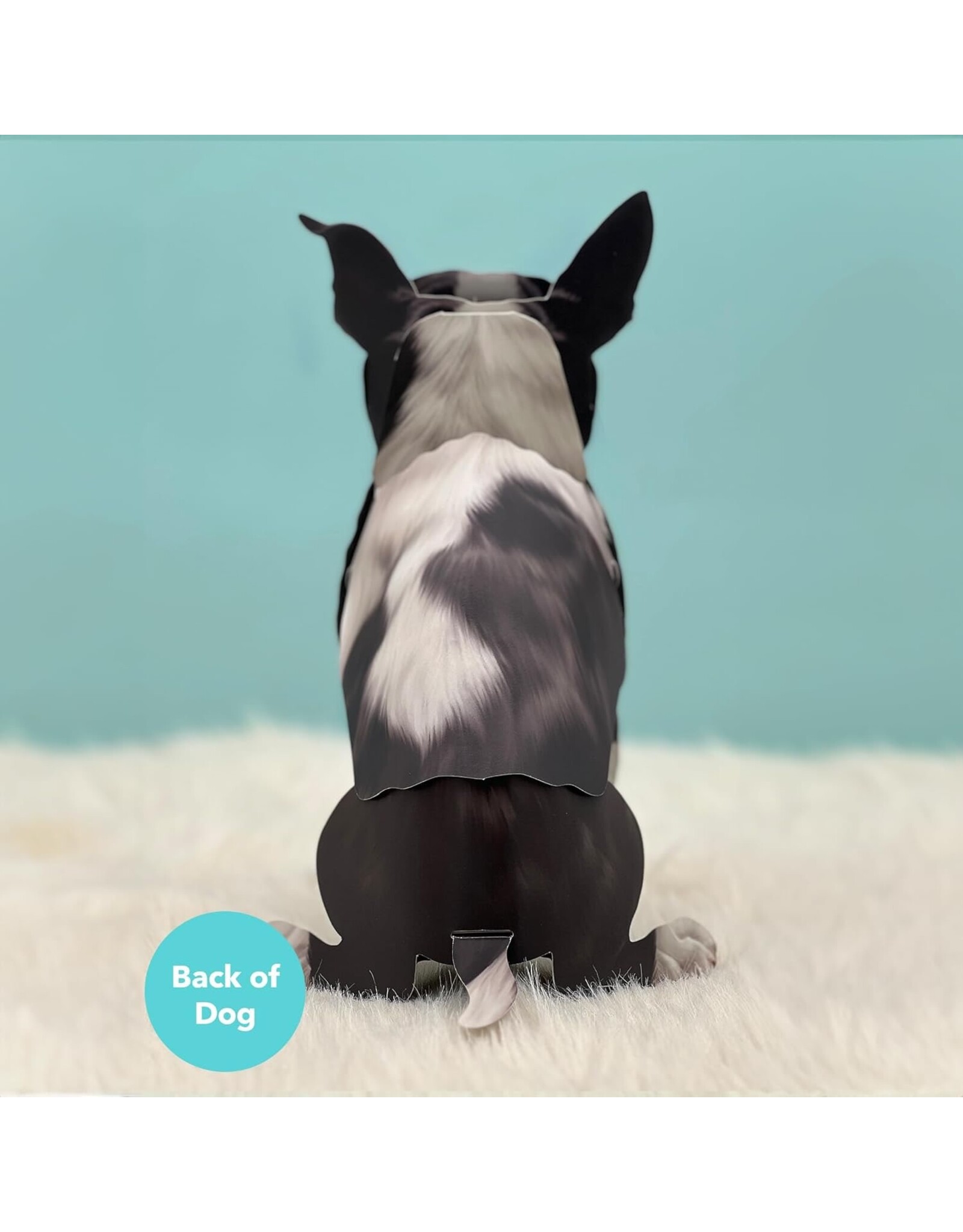 FreshCut Paper Pop Up Pet Cards | Boston Terrier Retriever Pop-Up Card
