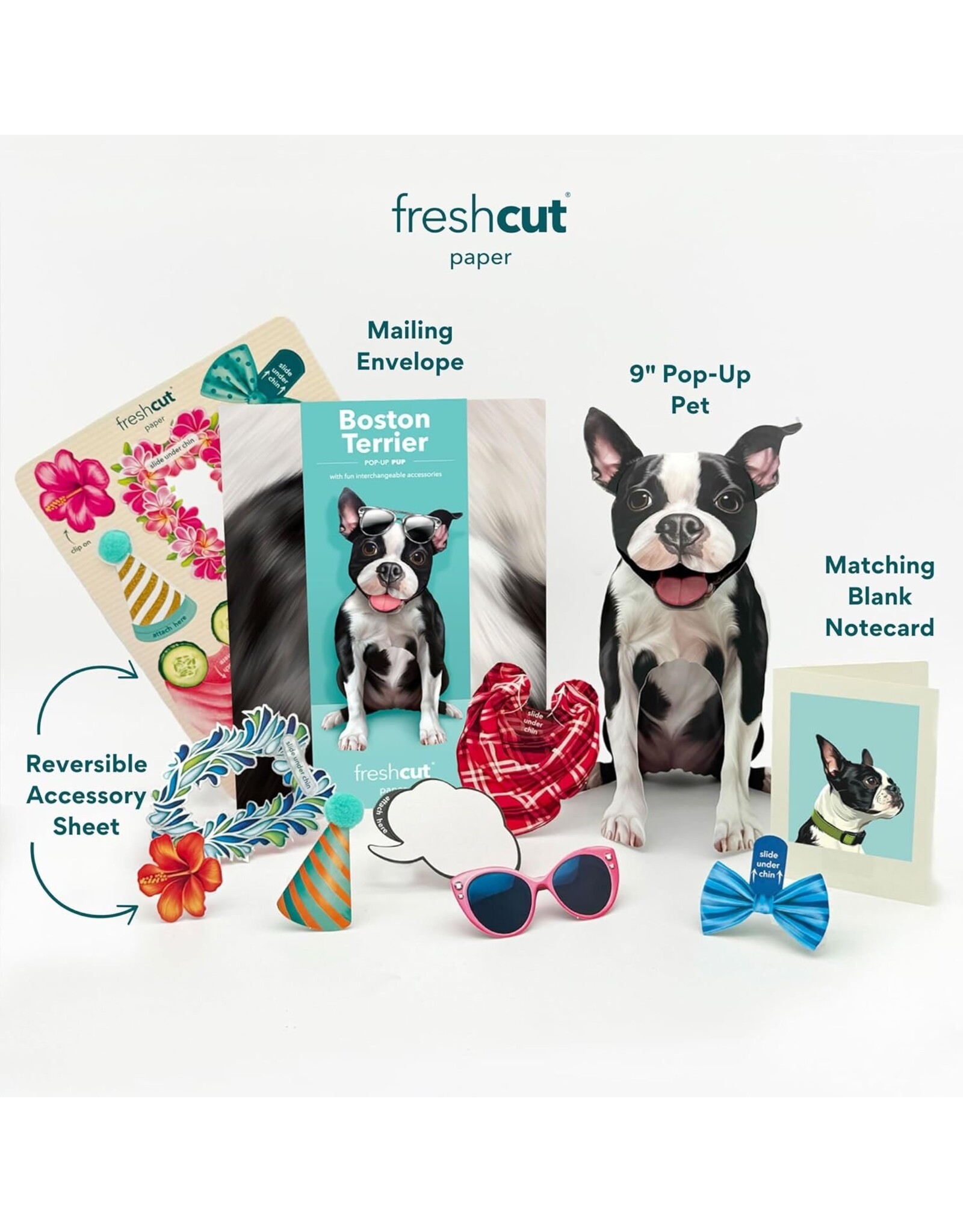 FreshCut Paper Pop Up Pet Cards | Boston Terrier Retriever Pop-Up Card