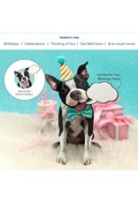 FreshCut Paper Pop Up Pet Cards | Boston Terrier Retriever Pop-Up Card