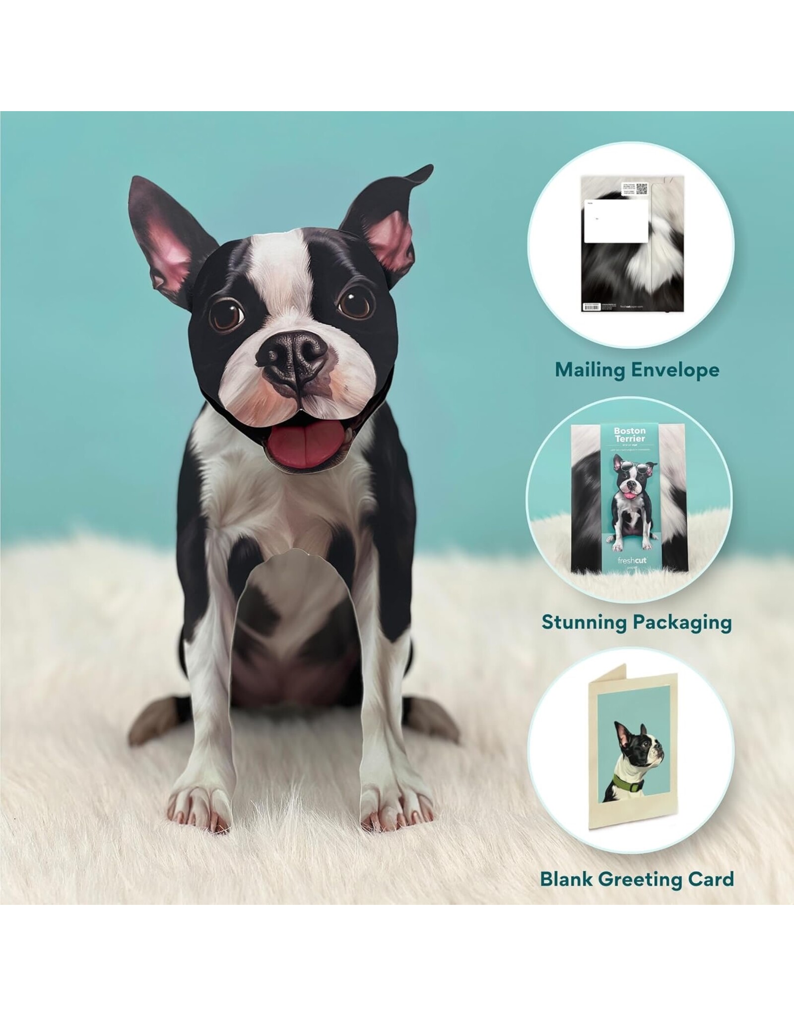 FreshCut Paper Pop Up Pet Cards | Boston Terrier Retriever Pop-Up Card